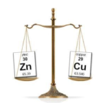 L’importance du ratio entre le zinc et le cuivre